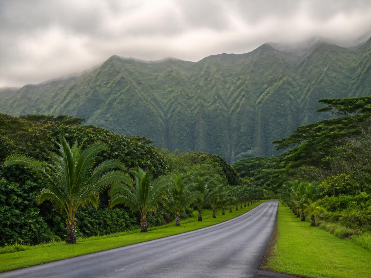 View of Hoʻomaluhia Botanical Garden on Oʻahu